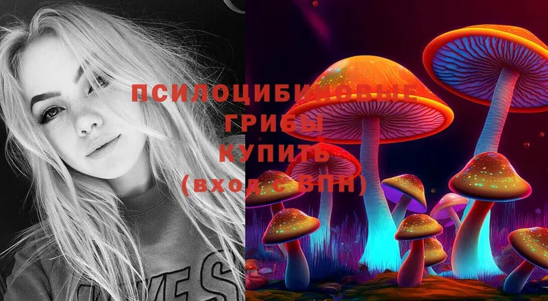 Псилоцибиновые грибы Cubensis  Мензелинск 